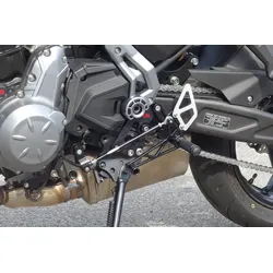 LSL Ersatzteil für Rastenanlage 110T024SW, Schaltseite, Bonneville 01-, schwarz, schwarz