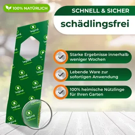 LEGO Florfliegenlarven gegen Blattläuse und Thripse 5 Träger à 2 Lieferungen