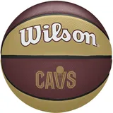 Wilson Basketball, NBA Team Tribute, Cleveland Cavaliers, Outdoor und Indoor, Größe: 7,