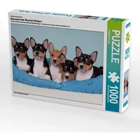 Calvendo Ein Motiv aus dem Kalender Bezaubernde Basenji-Welpen (Puzzle)