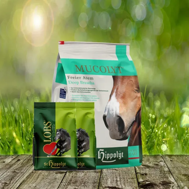 St. Hippolyt Mucolyt 5 kg Nachfüllpack + St. Hippolyt Lobs Belohnungswürfel 2 x 1 kg geschenkt