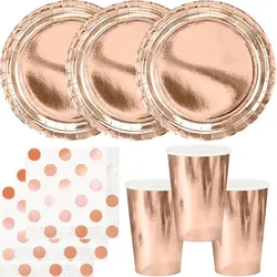 Party Deko Set roségold Einweggeschirr für 12 Personen Teller, Becher, Servietten