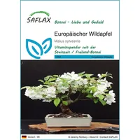 SAFLAX - Bonsai - Europäischer Wildapfel - 30 Samen