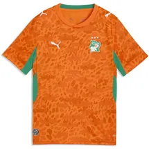 Puma Elfenbeinküste Trainingsshirt 2026 orange Unisex Gr. 140