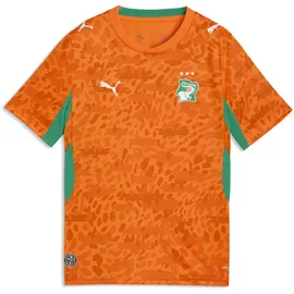 Puma Elfenbeinküste Trainingsshirt 2026 orange Unisex Gr. 140