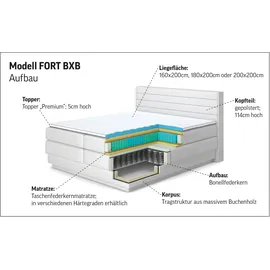 Cotta Boxspringbett COTTA "Fort mit Bettkasten, inkl. Topper", beige (natur), B:161cm L:228cm, 100% POLYESTER (PES), Komplettbetten, Boxspringbett, erhältlich in verschiedenen Breiten (160cm, 180cm & 200cm), Topseller