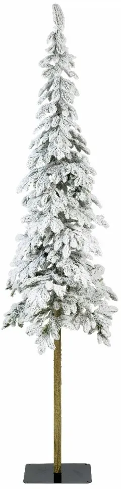 Everlands Alpine Tanne beschneit 180cm - D/H ca. 41,00x180,00