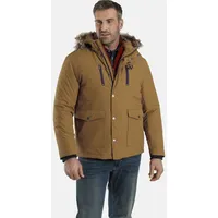 Charles Colby SIR CLARENCE dunkelgelb 4XL