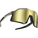 Dynafit Trail Evo Sportbrille (Größe One Size, gruen)