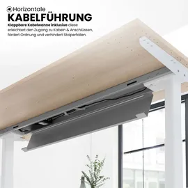 bümö Schreibtisch XBHM Nussbaum / Graphit