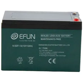 Efun Akku 12V 12Ah, passend für Elektro Fahrzeuge