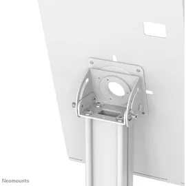 NeoMounts Tischhalterung, Tablet-Stand 7.9-11", weiß (DS15-640WH1)