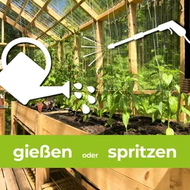 Protect Garden Alitis Spezial-Pilzfrei Konzentrat 40 g