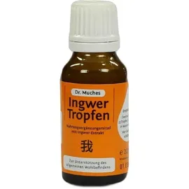Dr. Muche GmbH Ingwertropfen Dr.Muches 20 ml