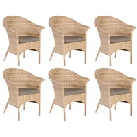 Sonnenpartner 6er-Set Garten-Sessel Cayman Aluminium mit Polyrattan natura-antik