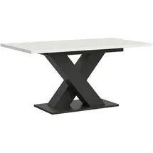 inn.furn Esstisch "Home-X"