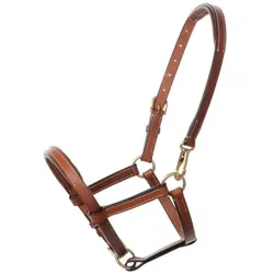 Kavalkade Lederhalfter Fohlen & Jährling (Fohlen) - Cognac-Messing - Fohlen