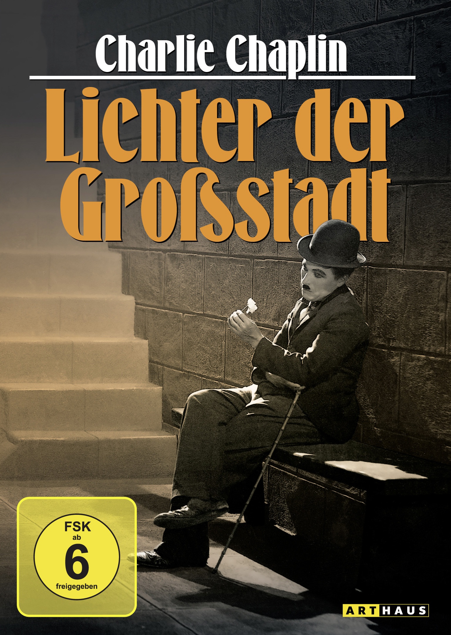 Charlie Chaplin: Lichter Der Großstadt (DVD)