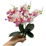 Rikyo 4 Bündel Tropische künstliche Blume 27,9 cm Mini Schmetterling Orchidee mit 4 Seidenblumenköpfen und Phalaenopsis Orchideen Blätter Faux Blatt Arrangement für Hochzeit Home Decor Bonsai (weiß)