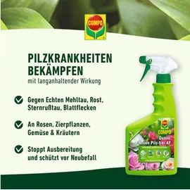 Compo Duaxo Rosen Pilz-frei Fungizid 750 ml