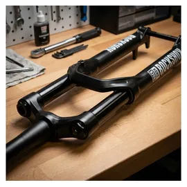 RockShox Gabel-Standrohr+BrückeCSU RS Domain2022+ DA27/29Boost,44Offs,DiBl,59OD, B1+