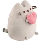 AURORA Pusheen with Heart,