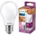 Philips LED-Birne 871951432403900 7,9 W E27 warmweiß 1 St.