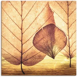 Leinwandbild ARTLAND "Losgelöst", braun (farbe bild(er): braun), B:70cm H:70cm, Canvas, Leinwand, Bilder, auf Keilrahmen gespannt