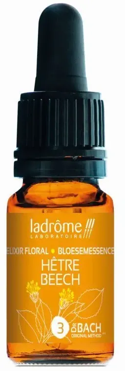 Ladrôme Buche Nr. 3