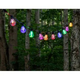 Sirius Home Marcus Starter Kit, 10L, Multi