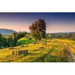 Fototapete PAPERMOON "ALPINE LANDSCHAFT", bunt, B:4,00m L:2,60m, Vlies, Tapeten
