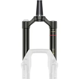 RockShox Gabel-Standrohr+BrückeCSU RS Domain2022+ DA27/29Boost,44Offs,GlBl,69OD, B1+