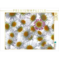 Calvendo Gänseblümchen Puzzle