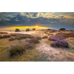 Fototapete PAPERMOON "Landschaft", bunt, B:3,00m L:2,23m, Vlies, Tapeten