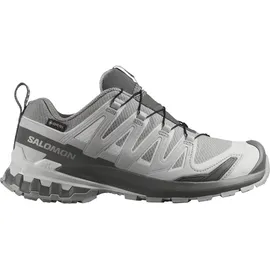 Salomon XA Pro 3D V9 GTX Damen Silber 38