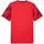 Puma teamFINAL Graphic+ Puma Red/Puma White/Team Regal Red S