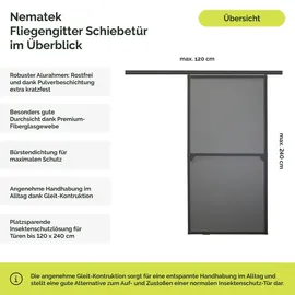 NEMATEK Schiebe Tür 120 x 240 cm Grau