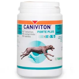 Vétoquinol Caniviton Forte Plus 90 Tabl.