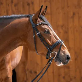 Sprenger Dynamic RS Olivenkopfgebiss 16 mm einfach gebrochen Sensogan, (11,5cm) - 11,5cm