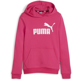 Puma Hoodie TR G, Pink, 128