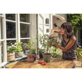 Gardena Gartenschere FreshCut