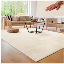 Paco Home Teppich Wohnzimmer, Kurzflor Weich, Waschbar, In Beige 300x400 cm