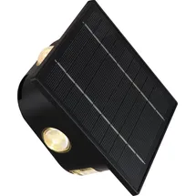 GLOBO Solarleuchte Kunststoff 1XLED 60 lm schwarz