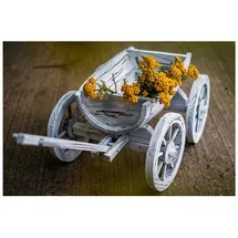 Hti-Living Holzhandwagen Weiß Rustikal Sommerset