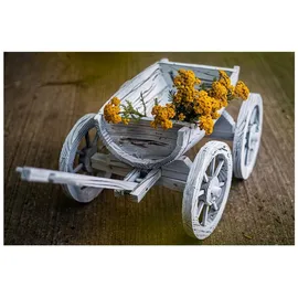 Hti-Living Holzhandwagen Weiß Rustikal Sommerset