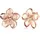 Elli Ohrstecker Frangipani Blüte roségold 925 Sterling Silber onesize
