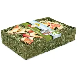 JR Farm GmbH Heu-Schale mit Früchten 100 g