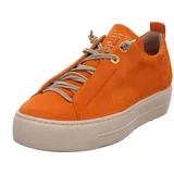 orange 41
