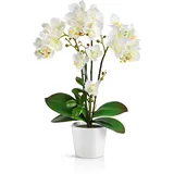 PASCH® Orchideen künstlich in Hochglanz-Keramiktöpfen (46cm) | Kunstblumen im Topf | Kunstblumen wie echt | künstliche Orchideen im Topf | künstliche Blumen im Topf (Weiß)