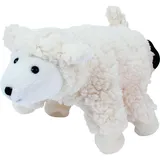 Beleduc Schaf